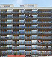 Nemoinspekt Advisory reference